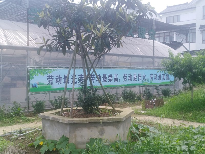 微信图片_20200704104808
