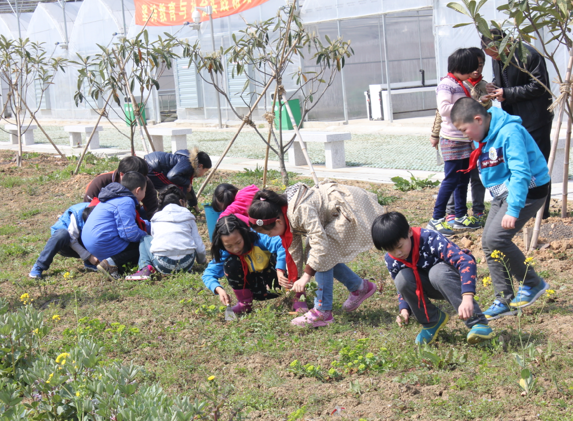 3、学生在“除草”