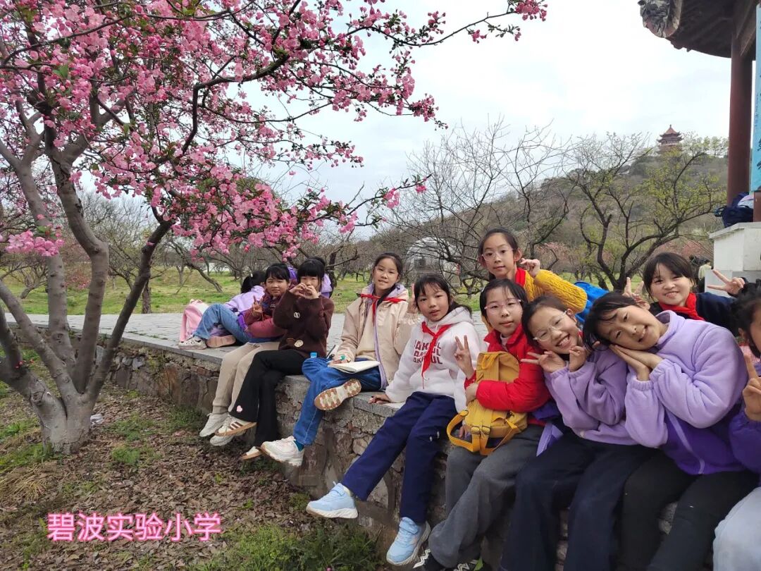 72d3e0701c2c0587f4c219ecd4d81496